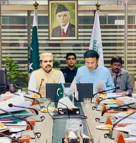 کیبینٹ کمیٹی فنانس