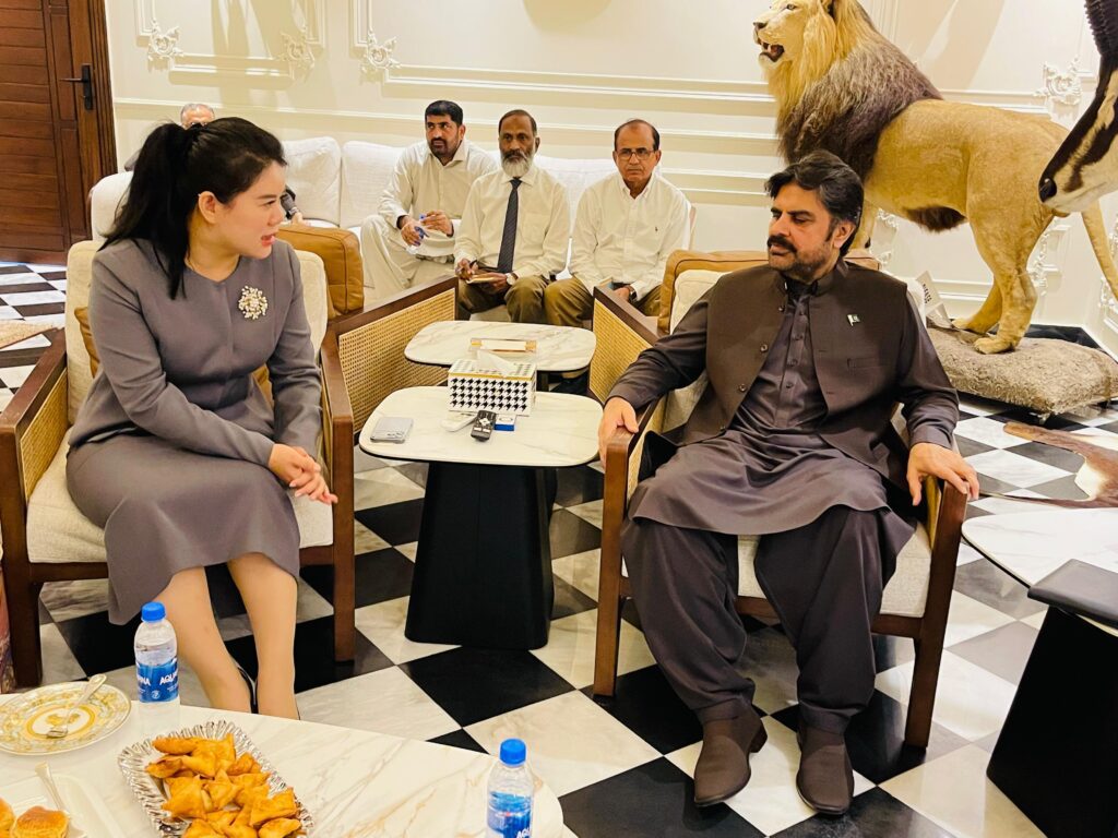 چینی سرمایہ کار