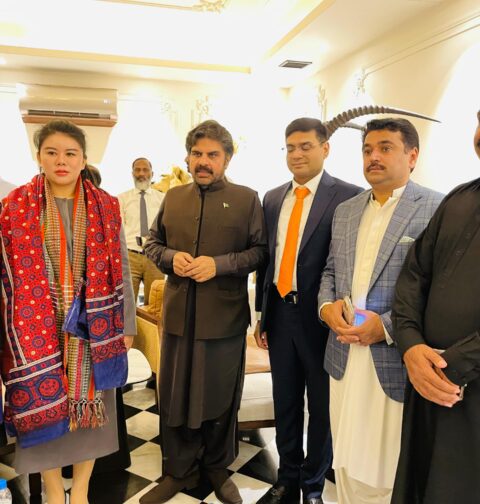 چینی سرمایہ کار