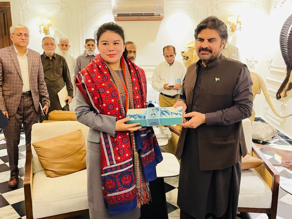 چینی سرمایہ کار