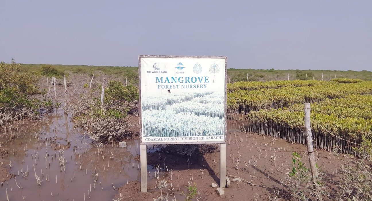 ڈیلٹا بلیو کاربن کریڈٹ منصوبہ