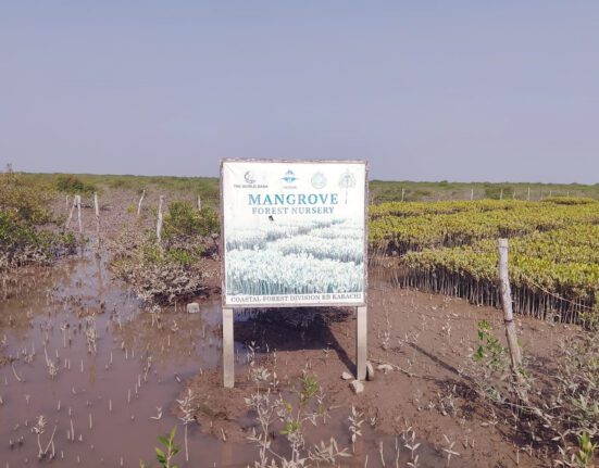 ڈیلٹا بلیو کاربن کریڈٹ منصوبہ