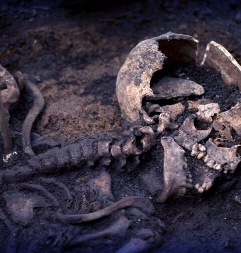 قدیم خواتین کی ہڈیوں میں حمل کے آثار کی سائنسی تحقیق - RY Media Talks