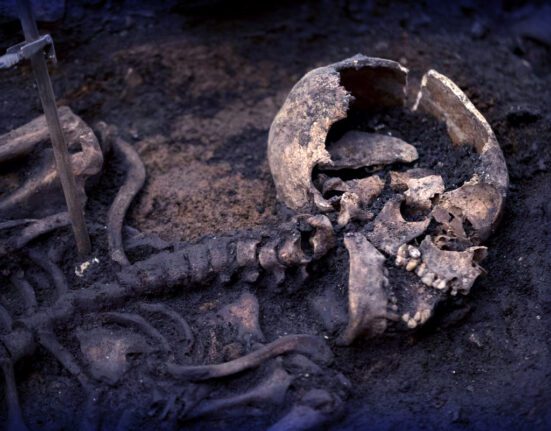 قدیم خواتین کی ہڈیوں میں حمل کے آثار کی سائنسی تحقیق - RY Media Talks