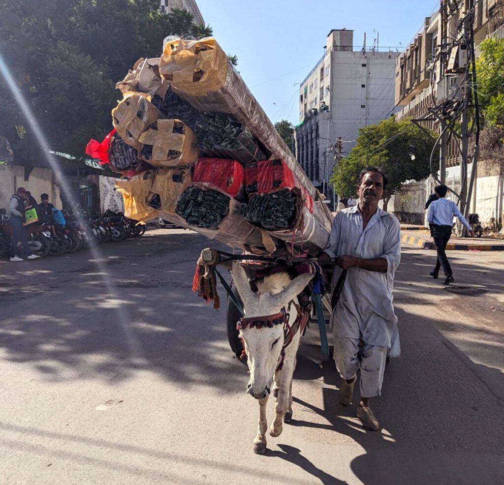 A donkey carrying water containers in a drought-affected area of Pakistan, highlighting the role of donkeys in climate change adaptation and human survival