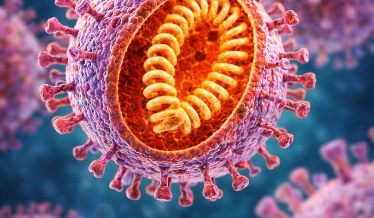 Health alert issued in Pakistan after Nipah virus outbreak in India