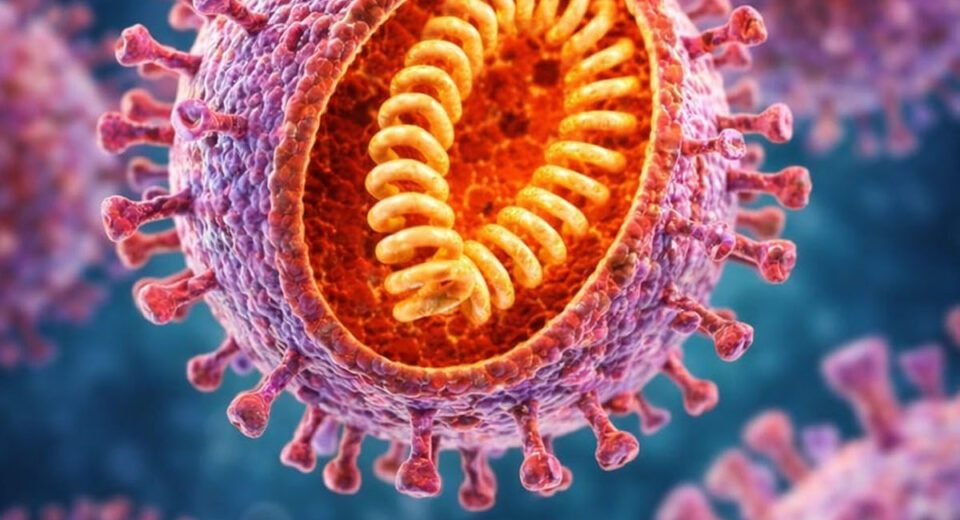 Health alert issued in Pakistan after Nipah virus outbreak in India