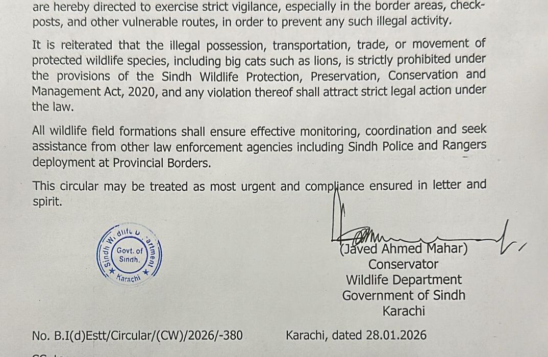 Sindh Wildlife Department monitoring illegal lion transportation from Punjab to Sindh for wildlife protection
