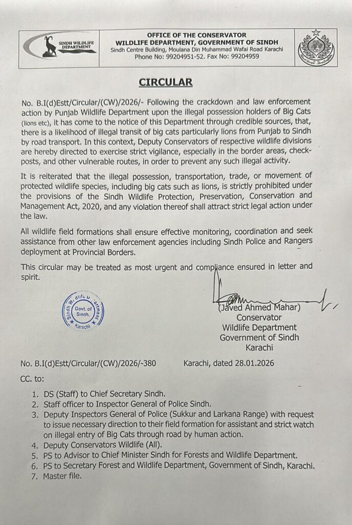 Sindh Wildlife Department monitoring illegal lion transportation from Punjab to Sindh for wildlife protection