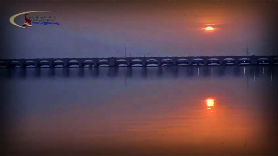 Indus Dolphin surfacing in the Sindh River near Sukkur, showcasing its unique behavior and conservation importance.