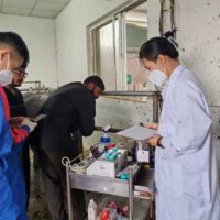 Pak-China Agricultural Cooperation: Call to Expand Exchanges and Joint Research in Buffalo Industry