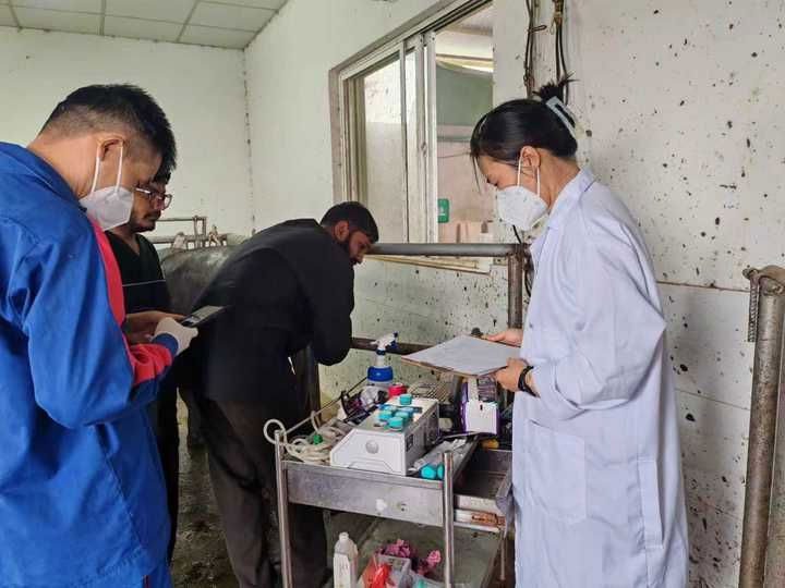 Pak-China Agricultural Cooperation: Call to Expand Exchanges and Joint Research in Buffalo Industry