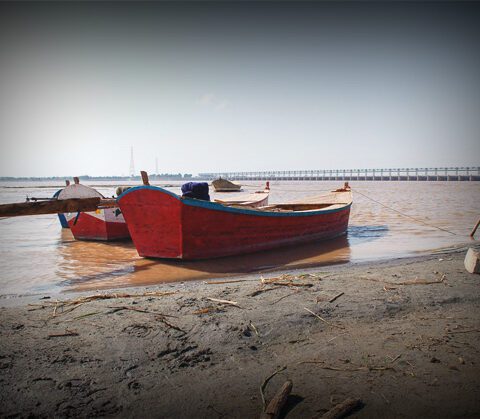 World Rivers Day: Water Shortage in Sindh Raises Concerns for Indus River