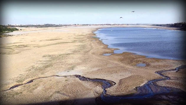  Due to water scarcity, agricultural land in several districts of Sindh is becoming barren. At the same time, the fisheries sector is also being negatively affected.

