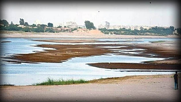 Agricultural land in several districts of Sindh is becoming barren. At the same time, the fisheries sector is also facing negative impacts. The shortage of water in the Indus River delta is affecting fish breeding.