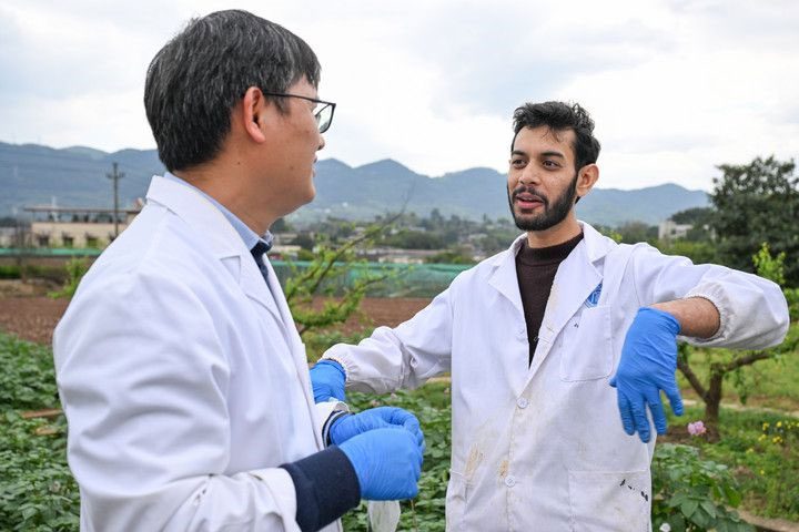 Benefits of China–Pakistan Agricultural Cooperation