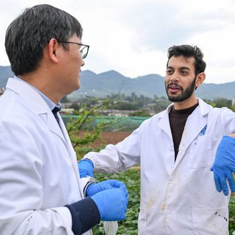 Benefits of China–Pakistan Agricultural Cooperation