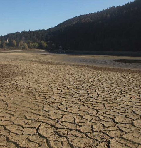 Unusual warm spring effects, rapid increase in drought conditions
