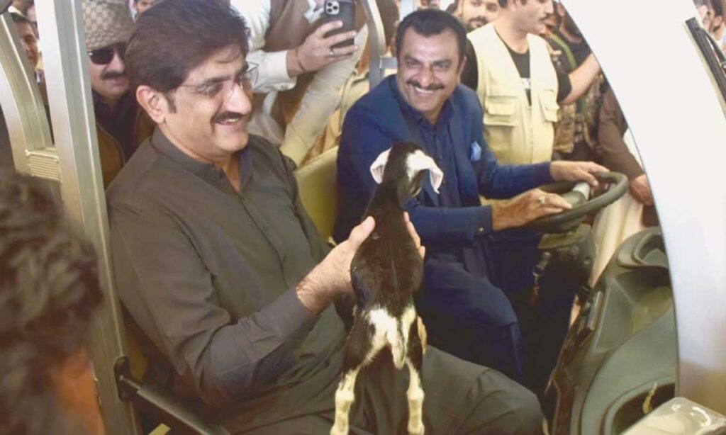 World Veterinary Day: Sindh Chief Minister Pays Tribute to Veterinary Professionals
