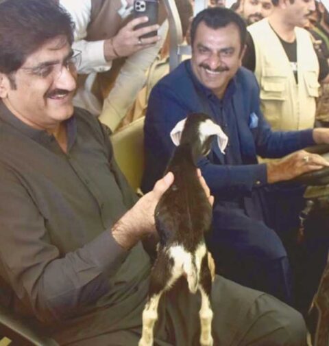 World Veterinary Day: Sindh Chief Minister Pays Tribute to Veterinary Professionals