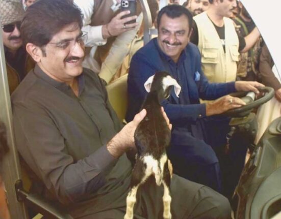 World Veterinary Day: Sindh Chief Minister Pays Tribute to Veterinary Professionals