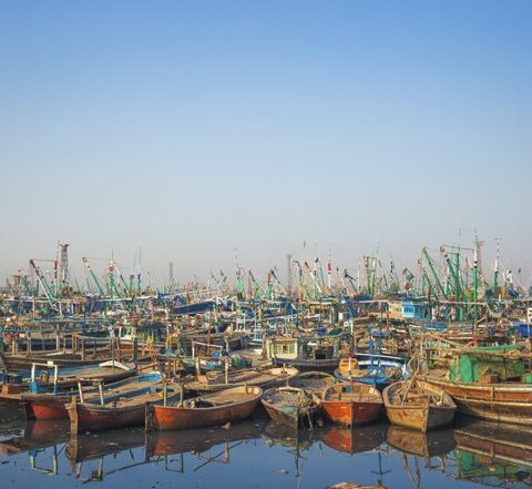 Diesel Price Hike: Survival of 4 Million Fishermen in Sindh at Risk