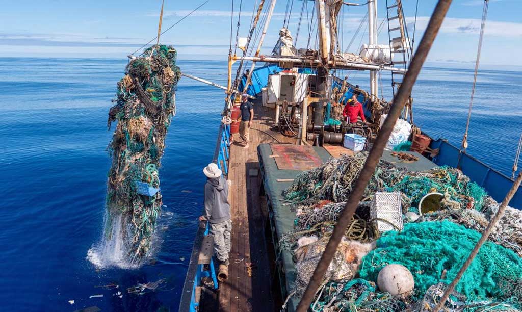 Humpback whale swimming in the ocean highlighting its role in marine ecosystem balance, oxygen production, and climate regulation