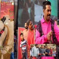 Cattle Show Season 5: Modern Livestock Exhibition Begins in Karachi, Launching Advanced Livestock and Dairy Showcase