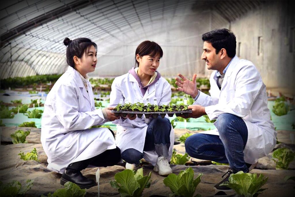 Agricultural education of a Pakistani youth in China: Will it help increase the country’s production?