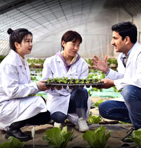 Agricultural education of a Pakistani youth in China: Will it help increase the country’s production?