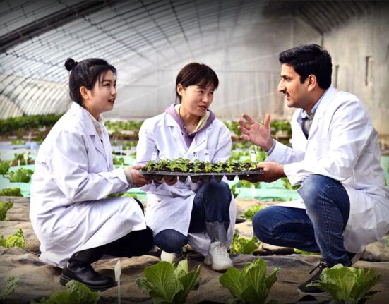 Agricultural education of a Pakistani youth in China: Will it help increase the country’s production?