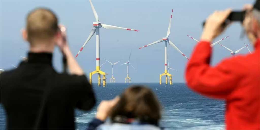 Humpback whale swimming in the ocean highlighting its role in marine ecosystem balance, oxygen production, and climate regulation