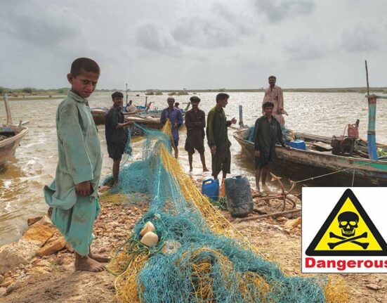 Are-the-Lives-of-Fishermen-and-Marine-Life-in-Sindh-in-Serious-Danger?