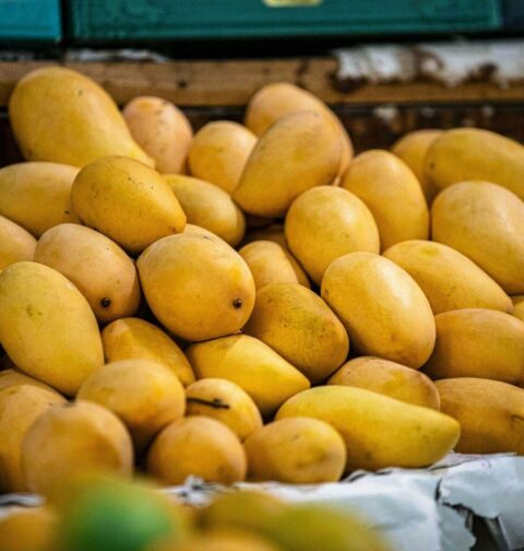 Sindhri mango export risk this year not happening