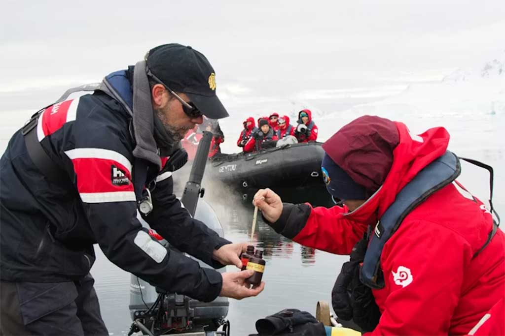 Humpback whale swimming in the ocean highlighting its role in marine ecosystem balance, oxygen production, and climate regulation