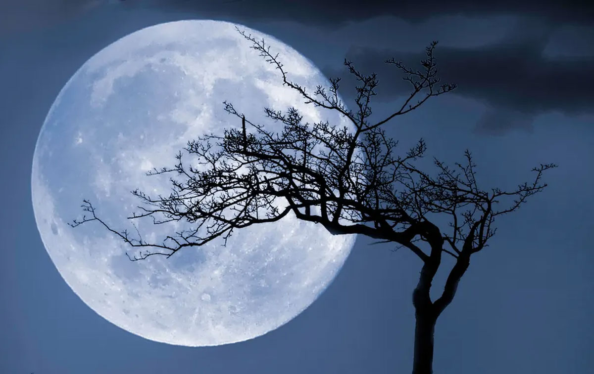 Why Will the Full Moon Be Special?