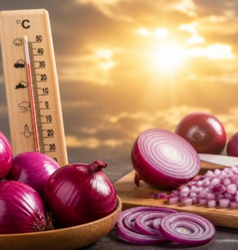 Red Onion: Natural Summer Heat Protection Food