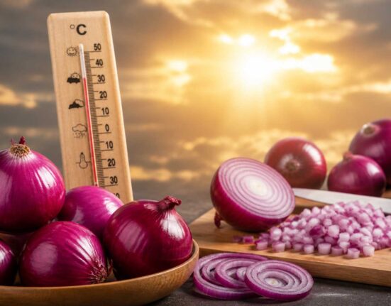 Red Onion: Natural Summer Heat Protection Food