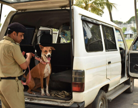 Indian Supreme Court Allows Killing of Stray Dogs