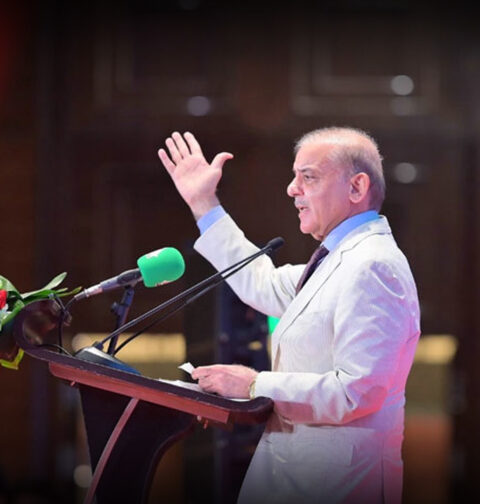 Pakistan does not need loans, it needs skills and investment: Shehbaz Sharif