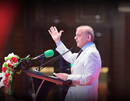 Pakistan does not need loans, it needs skills and investment: Shehbaz Sharif