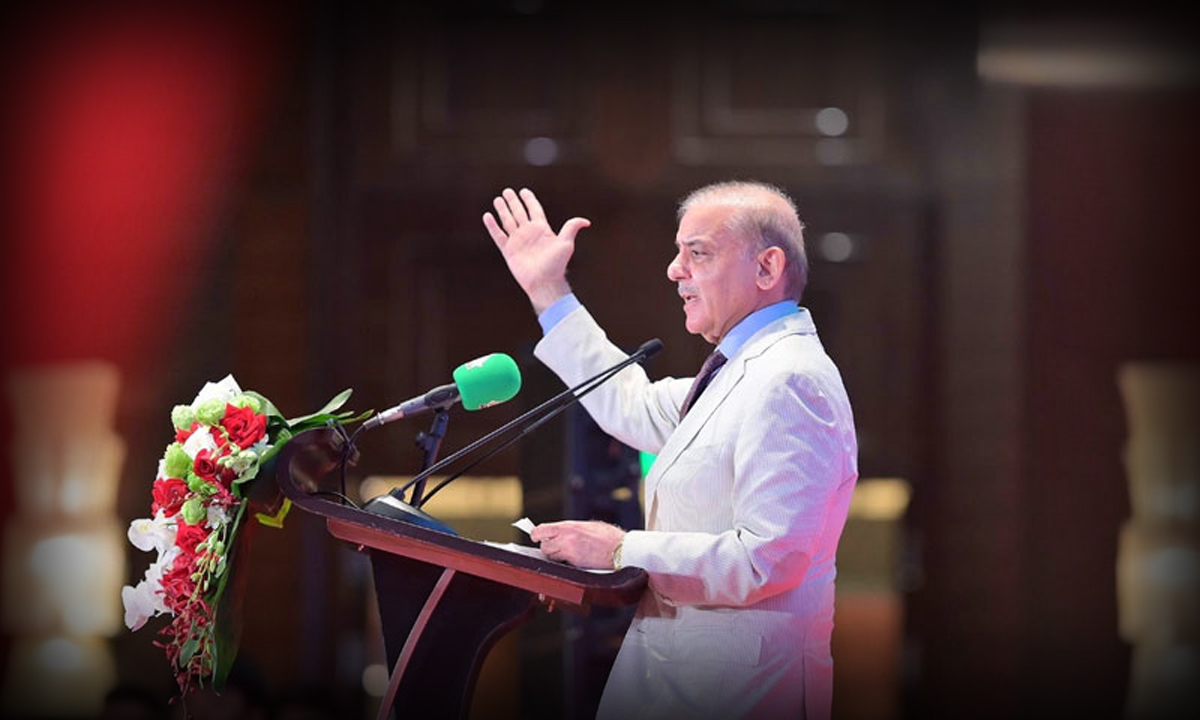 Pakistan does not need loans, it needs skills and investment: Shehbaz Sharif