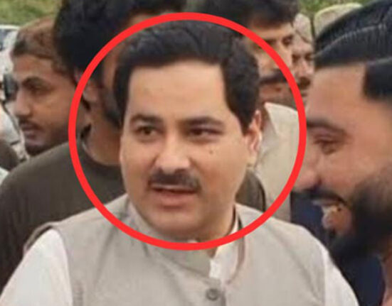 Elections Attack Case: Shahzad Bhutani Gets 8-Year Sentence, Escapes Court