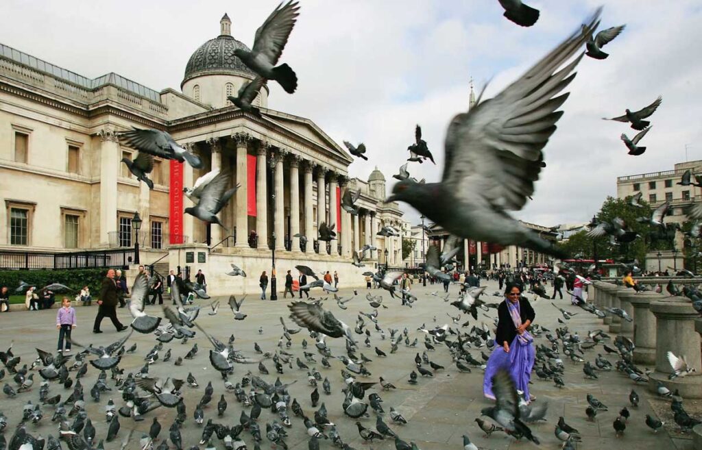 Birds are more frightened of women.