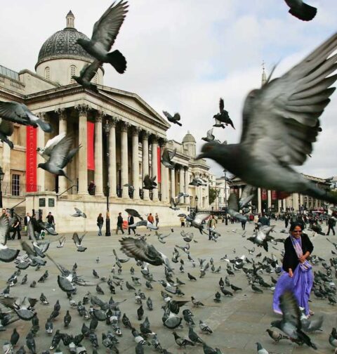 Birds are more frightened of women.