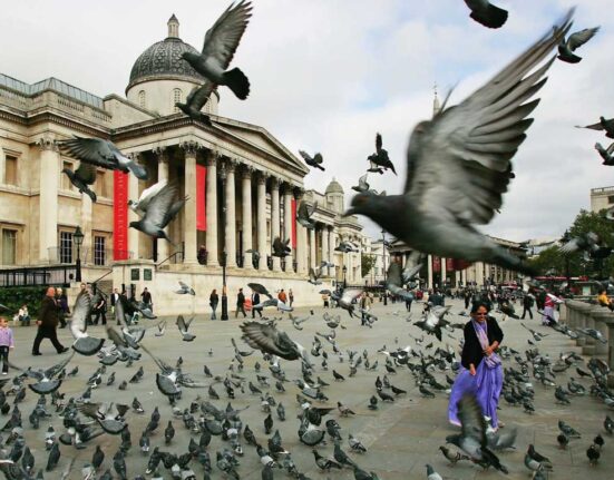 Birds are more frightened of women.
