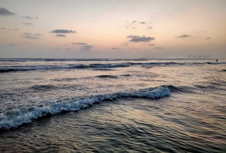 World Oceans Day 2026: Survival Depends on Oceans