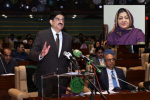 عوام دوست بجٹ: مراد علی شاہ کو شاباش، شرف النسا شبنم