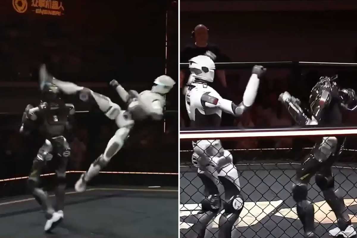 Robot Fight in China Leaves Humans Amazed