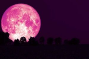 اسٹرابیری مون آج رات نظر آئے گا
